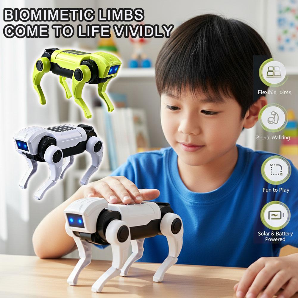 1/2Pcs Rc Robot Children's Rem - Science Diy Model 评论和价格