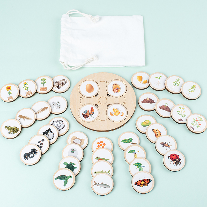 Life Cycle Board Montessori Ki - Science Nature 评论和价格