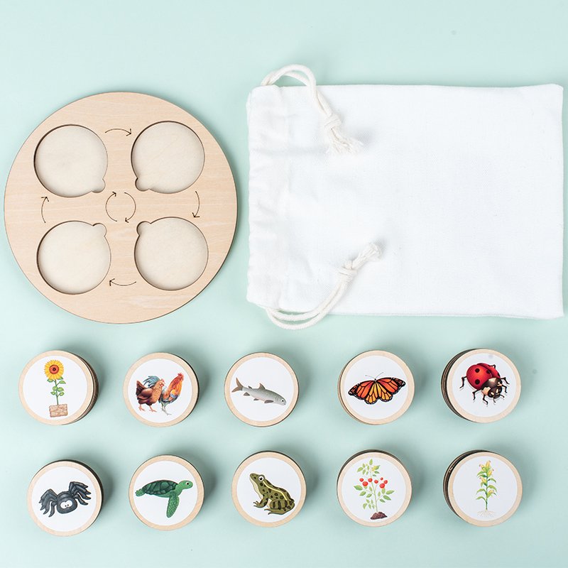 Life Cycle Board Montessori Ki - Science Nature 评论和价格