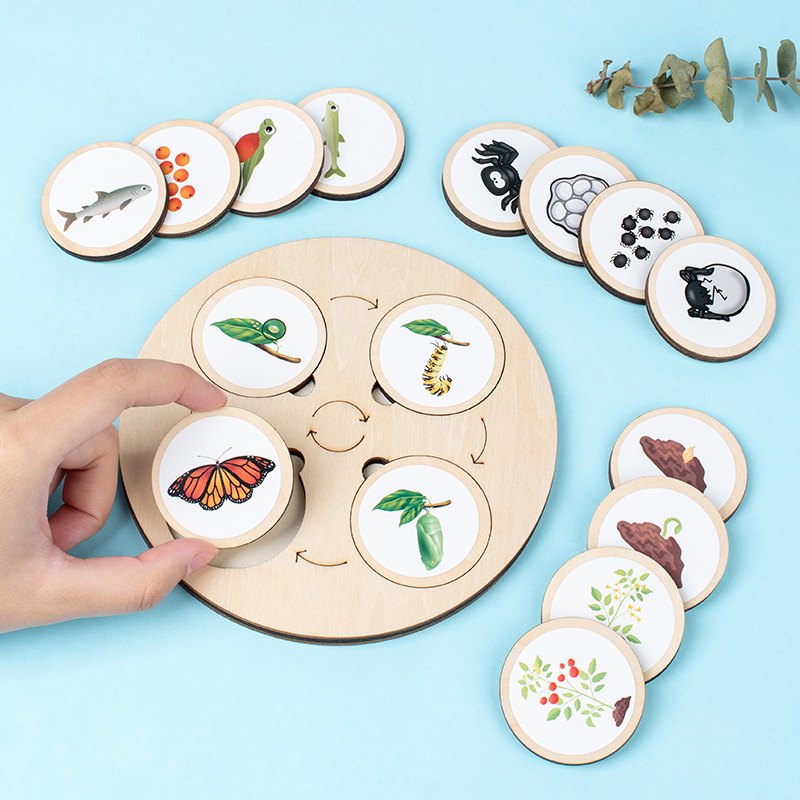 Life Cycle Board Montessori Ki - Science Nature 评论和价格